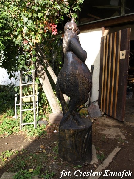 photo7.jpg
