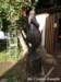 photo7_small.jpg