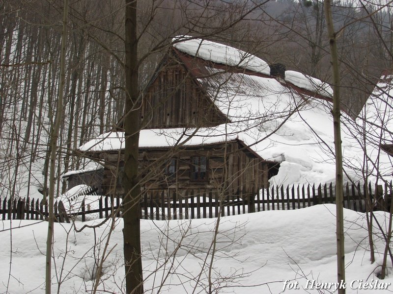 photo15.jpg