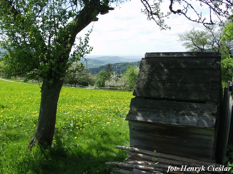 photo17.jpg