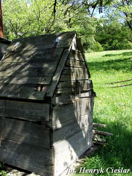 photo18.jpg