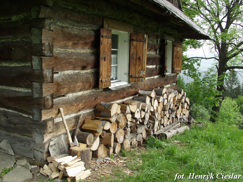 photo20.jpg