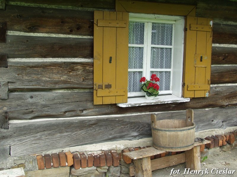photo22.jpg