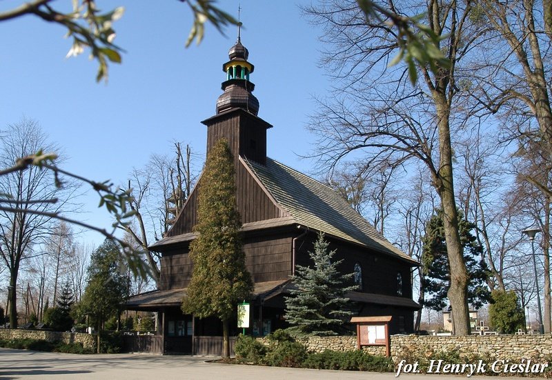 photo42.jpg